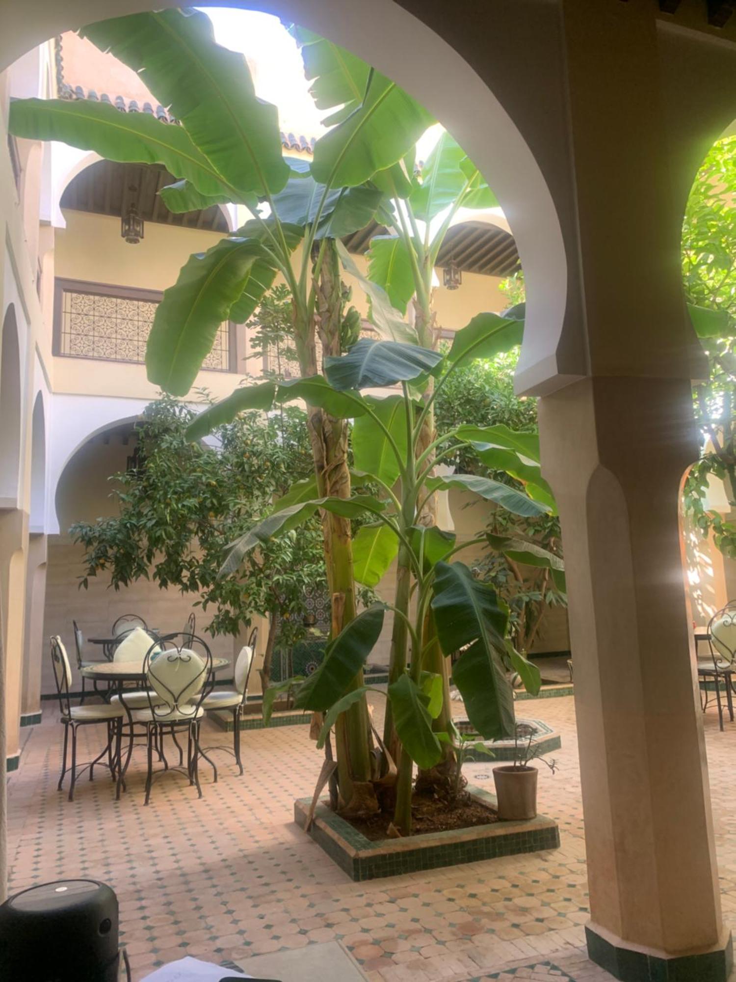 Riad Tidar By Phoenix Marrakesh Extérieur photo